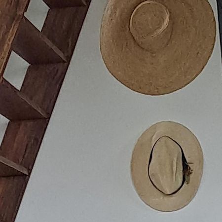 Farida Boekestijn Villa Jagtlust Dış mekan fotoğraf